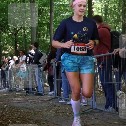 28.09.2025 - 33. Volkslauf durch das schöne Alstertal Strokosch-Dieckow http://msf.ph/oto/8973880 28.09.2025 12:25:48 Ziel 2533 meine-sportfotos.de