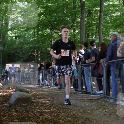 28.09.2025 - 33. Volkslauf durch das schöne Alstertal Strokosch-Dieckow http://msf.ph/oto/8973884 28.09.2025 12:26:00 Ziel 2016, 2498 meine-sportfotos.de