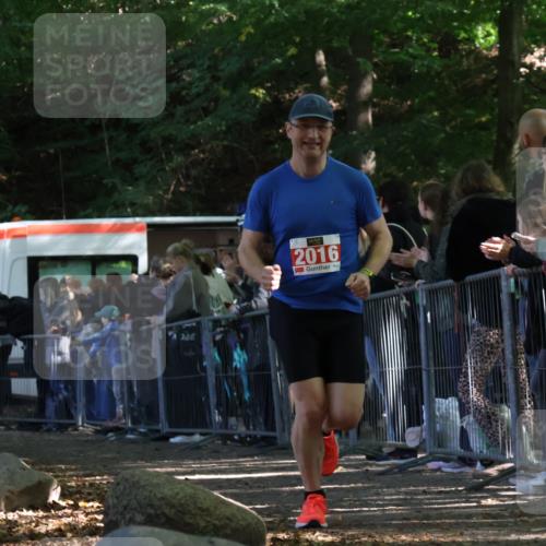 28.09.2025 - 33. Volkslauf durch das schöne Alstertal Strokosch-Dieckow http://msf.ph/oto/8973887 28.09.2025 12:26:04 Ziel 2016, 2499 meine-sportfotos.de