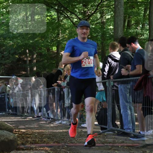 28.09.2025 - 33. Volkslauf durch das schöne Alstertal Strokosch-Dieckow http://msf.ph/oto/8973890 28.09.2025 12:26:05 Ziel 2016, 2499 meine-sportfotos.de