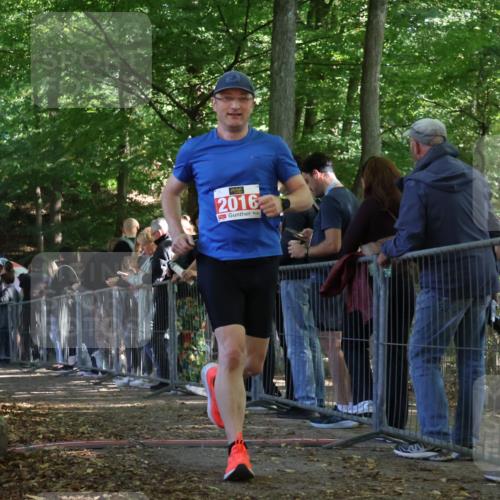 28.09.2025 - 33. Volkslauf durch das schöne Alstertal Strokosch-Dieckow http://msf.ph/oto/8973891 28.09.2025 12:26:06 Ziel 2016, 2449, 2450, 2499 meine-sportfotos.de