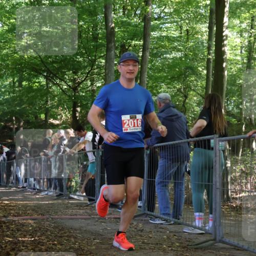28.09.2025 - 33. Volkslauf durch das schöne Alstertal Strokosch-Dieckow http://msf.ph/oto/8973892 28.09.2025 12:26:06 Ziel 2016, 2449, 2450, 2499 meine-sportfotos.de