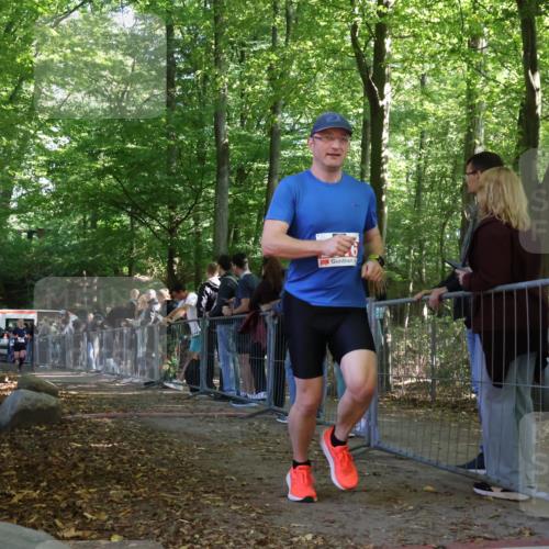 28.09.2025 - 33. Volkslauf durch das schöne Alstertal Strokosch-Dieckow http://msf.ph/oto/8973893 28.09.2025 12:26:07 Ziel 2449, 2450, 2499 meine-sportfotos.de