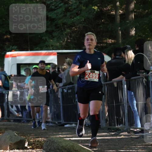 28.09.2025 - 33. Volkslauf durch das schöne Alstertal Strokosch-Dieckow http://msf.ph/oto/8973894 28.09.2025 12:26:09 Ziel 2449, 2450, 2499, 2590, 2631 meine-sportfotos.de