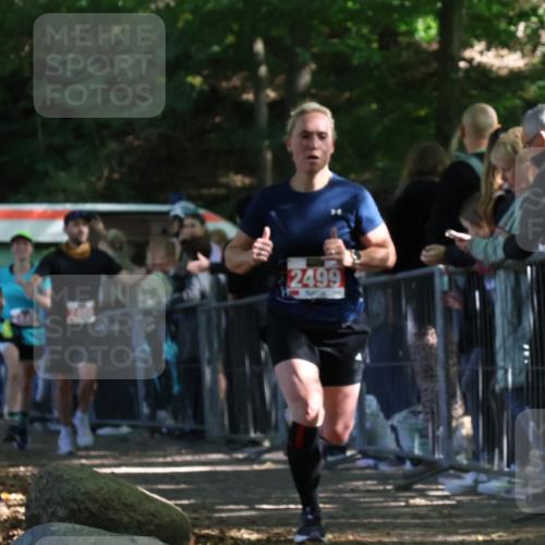 28.09.2025 - 33. Volkslauf durch das schöne Alstertal Strokosch-Dieckow http://msf.ph/oto/8973895 28.09.2025 12:26:10 Ziel 2449, 2450, 2499, 2590, 2631 meine-sportfotos.de