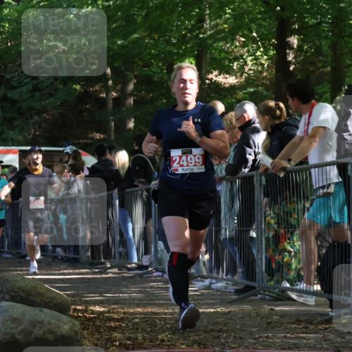 28.09.2025 - 33. Volkslauf durch das schöne Alstertal Strokosch-Dieckow http://msf.ph/oto/8973896 28.09.2025 12:26:11 Ziel 2449, 2450, 2499, 2590, 2631 meine-sportfotos.de
