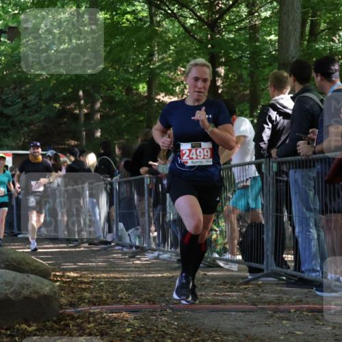 28.09.2025 - 33. Volkslauf durch das schöne Alstertal Strokosch-Dieckow http://msf.ph/oto/8973897 28.09.2025 12:26:11 Ziel 2449, 2450, 2499, 2590, 2631 meine-sportfotos.de