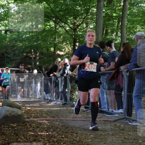 28.09.2025 - 33. Volkslauf durch das schöne Alstertal Strokosch-Dieckow http://msf.ph/oto/8973898 28.09.2025 12:26:12 Ziel 2449, 2450, 2499, 2590, 2631, 2991 meine-sportfotos.de