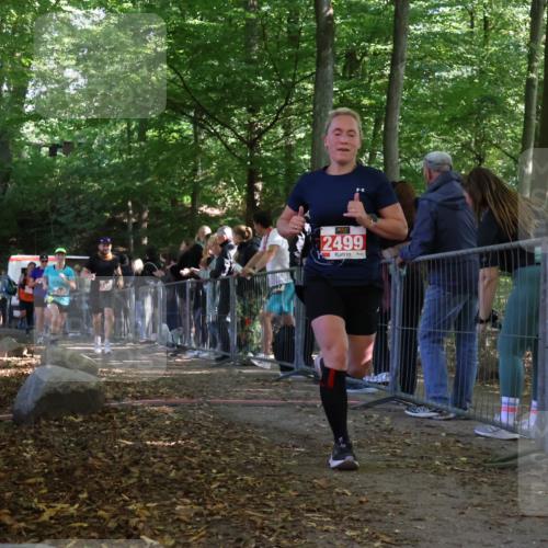 28.09.2025 - 33. Volkslauf durch das schöne Alstertal Strokosch-Dieckow http://msf.ph/oto/8973899 28.09.2025 12:26:12 Ziel 2449, 2450, 2499, 2590, 2631, 2991 meine-sportfotos.de