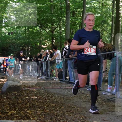 28.09.2025 - 33. Volkslauf durch das schöne Alstertal Strokosch-Dieckow http://msf.ph/oto/8973900 28.09.2025 12:26:13 Ziel 2449, 2450, 2590, 2630, 2631, 2991 meine-sportfotos.de