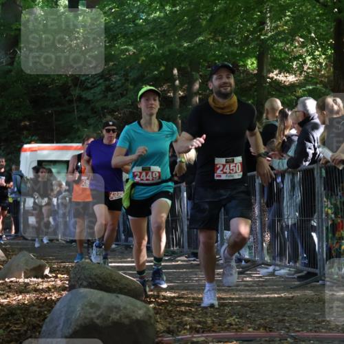 28.09.2025 - 33. Volkslauf durch das schöne Alstertal Strokosch-Dieckow http://msf.ph/oto/8973901 28.09.2025 12:26:14 Ziel 2449, 2450, 2590, 2630, 2631, 2991 meine-sportfotos.de