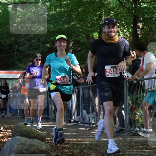 28.09.2025 - 33. Volkslauf durch das schöne Alstertal Strokosch-Dieckow http://msf.ph/oto/8973902 28.09.2025 12:26:15 Ziel 2449, 2450, 2516, 2590, 2630, 2631, 2991 meine-sportfotos.de