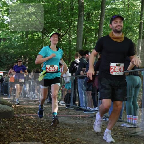 28.09.2025 - 33. Volkslauf durch das schöne Alstertal Strokosch-Dieckow http://msf.ph/oto/8973905 28.09.2025 12:26:16 Ziel 2449, 2450, 2516, 2590, 2630, 2631, 2991 meine-sportfotos.de