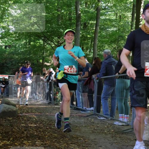 28.09.2025 - 33. Volkslauf durch das schöne Alstertal Strokosch-Dieckow http://msf.ph/oto/8973906 28.09.2025 12:26:16 Ziel 2449, 2450, 2516, 2590, 2630, 2631, 2991 meine-sportfotos.de