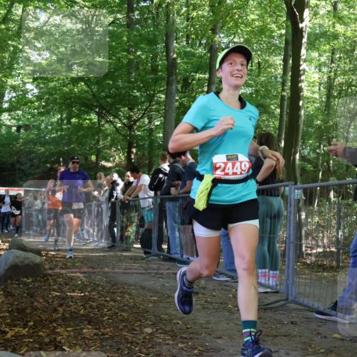 28.09.2025 - 33. Volkslauf durch das schöne Alstertal Strokosch-Dieckow http://msf.ph/oto/8973907 28.09.2025 12:26:16 Ziel 2449, 2450, 2516, 2590, 2630, 2631, 2991 meine-sportfotos.de