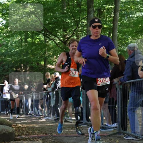 28.09.2025 - 33. Volkslauf durch das schöne Alstertal Strokosch-Dieckow http://msf.ph/oto/8973911 28.09.2025 12:26:18 Ziel 2516, 2590, 2630, 2631, 2991 meine-sportfotos.de