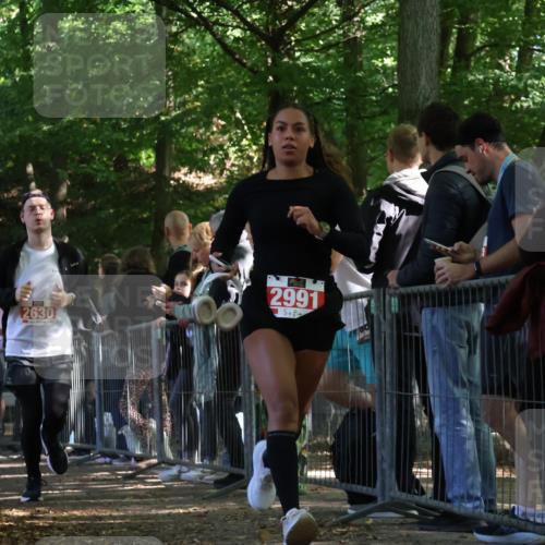 28.09.2025 - 33. Volkslauf durch das schöne Alstertal Strokosch-Dieckow http://msf.ph/oto/8973914 28.09.2025 12:26:21 Ziel 2516, 2630, 2991 meine-sportfotos.de