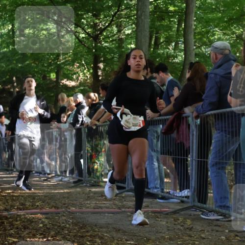 28.09.2025 - 33. Volkslauf durch das schöne Alstertal Strokosch-Dieckow http://msf.ph/oto/8973915 28.09.2025 12:26:21 Ziel 2516, 2630, 2991 meine-sportfotos.de