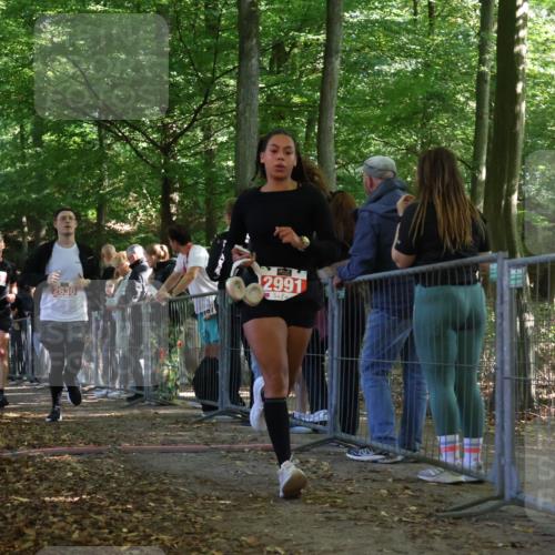 28.09.2025 - 33. Volkslauf durch das schöne Alstertal Strokosch-Dieckow http://msf.ph/oto/8973916 28.09.2025 12:26:22 Ziel 2516, 2630, 2991 meine-sportfotos.de