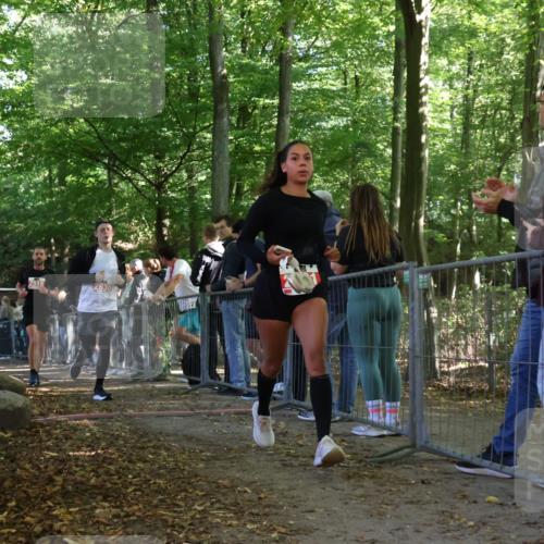 28.09.2025 - 33. Volkslauf durch das schöne Alstertal Strokosch-Dieckow http://msf.ph/oto/8973917 28.09.2025 12:26:22 Ziel 2516, 2630, 2991 meine-sportfotos.de