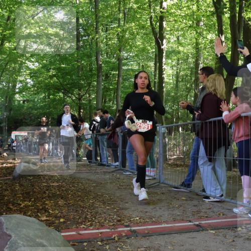 28.09.2025 - 33. Volkslauf durch das schöne Alstertal Strokosch-Dieckow http://msf.ph/oto/8973918 28.09.2025 12:26:22 Ziel 2516, 2630, 2991 meine-sportfotos.de