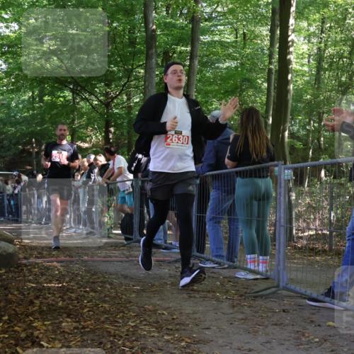 28.09.2025 - 33. Volkslauf durch das schöne Alstertal Strokosch-Dieckow http://msf.ph/oto/8973919 28.09.2025 12:26:23 Ziel 2392, 2516, 2630, 2994 meine-sportfotos.de