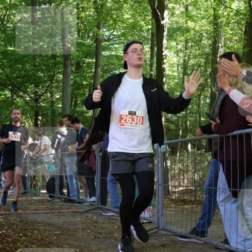 28.09.2025 - 33. Volkslauf durch das schöne Alstertal Strokosch-Dieckow http://msf.ph/oto/8973920 28.09.2025 12:26:24 Ziel 2392, 2516, 2994, 2997 meine-sportfotos.de