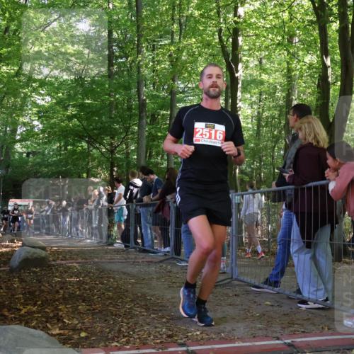 28.09.2025 - 33. Volkslauf durch das schöne Alstertal Strokosch-Dieckow http://msf.ph/oto/8973924 28.09.2025 12:26:26 Ziel 2335, 2392, 2994, 2997 meine-sportfotos.de