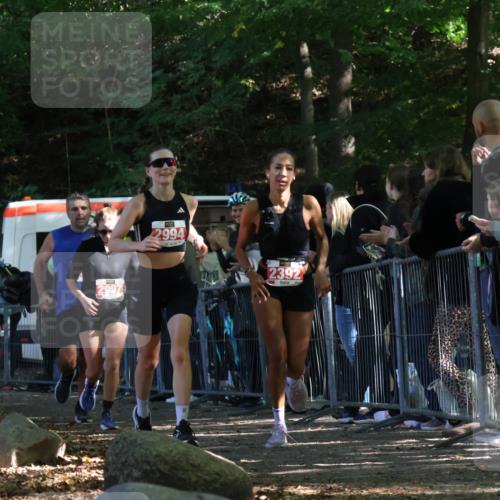 28.09.2025 - 33. Volkslauf durch das schöne Alstertal Strokosch-Dieckow http://msf.ph/oto/8973925 28.09.2025 12:26:29 Ziel 2335, 2392, 2994, 2997 meine-sportfotos.de