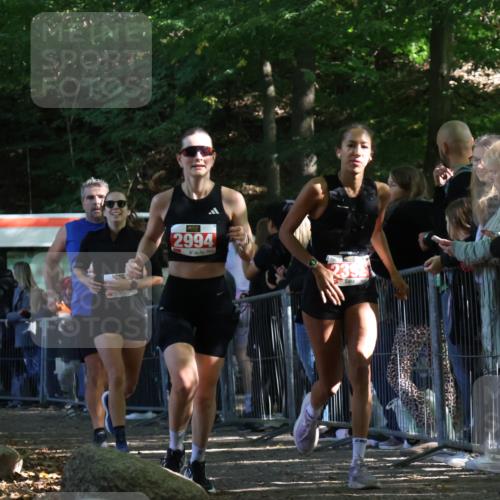 28.09.2025 - 33. Volkslauf durch das schöne Alstertal Strokosch-Dieckow http://msf.ph/oto/8973926 28.09.2025 12:26:30 Ziel 2335, 2392, 2994, 2997 meine-sportfotos.de