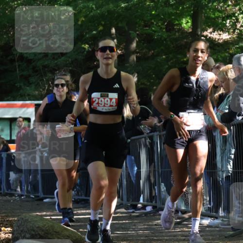 28.09.2025 - 33. Volkslauf durch das schöne Alstertal Strokosch-Dieckow http://msf.ph/oto/8973927 28.09.2025 12:26:31 Ziel 2335, 2392, 2994, 2997 meine-sportfotos.de