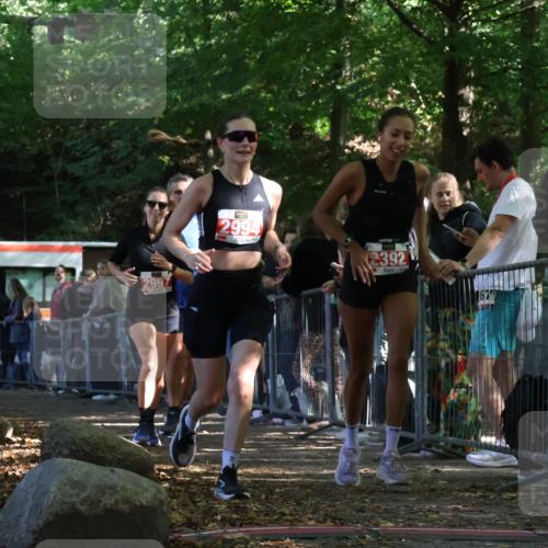 28.09.2025 - 33. Volkslauf durch das schöne Alstertal Strokosch-Dieckow http://msf.ph/oto/8973928 28.09.2025 12:26:31 Ziel 2335, 2392, 2994, 2997 meine-sportfotos.de