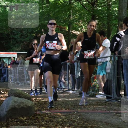 28.09.2025 - 33. Volkslauf durch das schöne Alstertal Strokosch-Dieckow http://msf.ph/oto/8973929 28.09.2025 12:26:32 Ziel 2335, 2392, 2994, 2997 meine-sportfotos.de