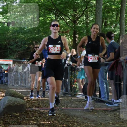 28.09.2025 - 33. Volkslauf durch das schöne Alstertal Strokosch-Dieckow http://msf.ph/oto/8973930 28.09.2025 12:26:32 Ziel 2335, 2392, 2994, 2997 meine-sportfotos.de