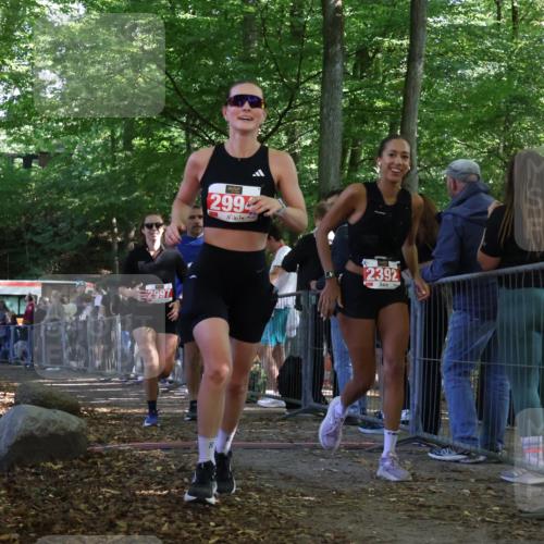 28.09.2025 - 33. Volkslauf durch das schöne Alstertal Strokosch-Dieckow http://msf.ph/oto/8973931 28.09.2025 12:26:33 Ziel 2335, 2392, 2994, 2997 meine-sportfotos.de
