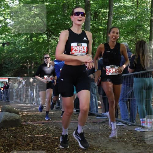 28.09.2025 - 33. Volkslauf durch das schöne Alstertal Strokosch-Dieckow http://msf.ph/oto/8973932 28.09.2025 12:26:33 Ziel 2335, 2392, 2994, 2997 meine-sportfotos.de