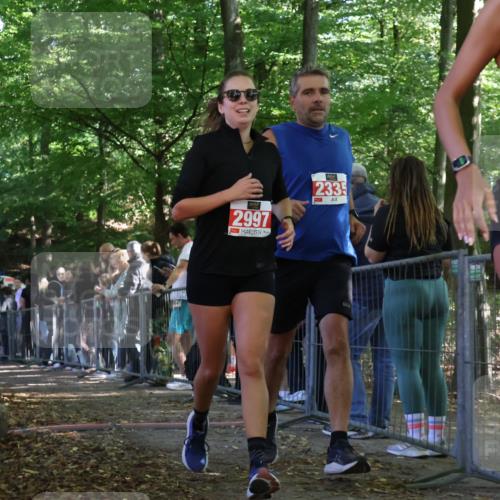 28.09.2025 - 33. Volkslauf durch das schöne Alstertal Strokosch-Dieckow http://msf.ph/oto/8973934 28.09.2025 12:26:35 Ziel 2335, 2364 meine-sportfotos.de