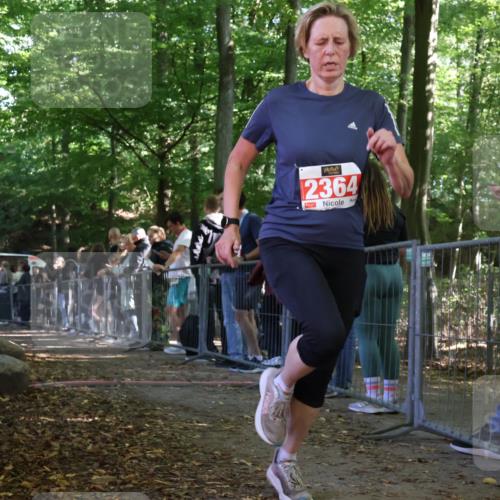 28.09.2025 - 33. Volkslauf durch das schöne Alstertal Strokosch-Dieckow http://msf.ph/oto/8973942 28.09.2025 12:26:44 Ziel 2208, 2364 meine-sportfotos.de
