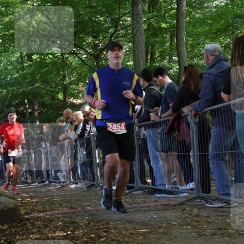 28.09.2025 - 33. Volkslauf durch das schöne Alstertal Strokosch-Dieckow http://msf.ph/oto/8973948 28.09.2025 12:27:01 Ziel 2454, 2584, 3960 meine-sportfotos.de