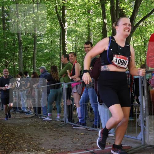 28.09.2025 - 33. Volkslauf durch das schöne Alstertal Strokosch-Dieckow http://msf.ph/oto/8973969 28.09.2025 12:27:18 Ziel 2384 meine-sportfotos.de