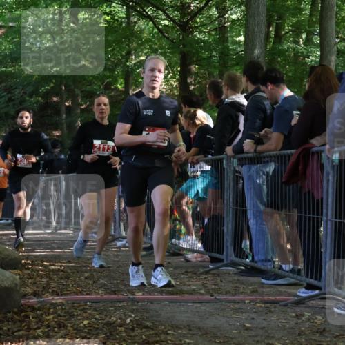 28.09.2025 - 33. Volkslauf durch das schöne Alstertal Strokosch-Dieckow http://msf.ph/oto/8973980 28.09.2025 12:28:14 Ziel 1095, 2113, 2222, 2304 meine-sportfotos.de