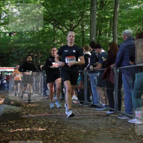 28.09.2025 - 33. Volkslauf durch das schöne Alstertal Strokosch-Dieckow http://msf.ph/oto/8973981 28.09.2025 12:28:15 Ziel 1095, 2113, 2222, 2304, 2469 meine-sportfotos.de