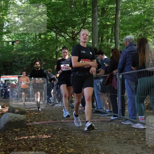 28.09.2025 - 33. Volkslauf durch das schöne Alstertal Strokosch-Dieckow http://msf.ph/oto/8973982 28.09.2025 12:28:15 Ziel 1095, 2113, 2222, 2304, 2469 meine-sportfotos.de
