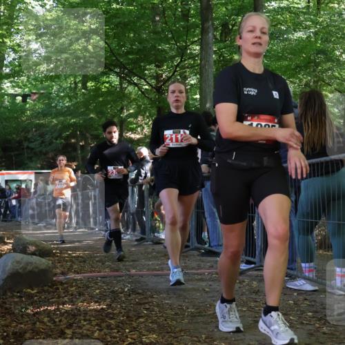 28.09.2025 - 33. Volkslauf durch das schöne Alstertal Strokosch-Dieckow http://msf.ph/oto/8973984 28.09.2025 12:28:16 Ziel 2113, 2222, 2304, 2469 meine-sportfotos.de