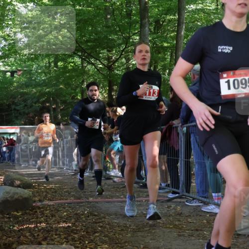 28.09.2025 - 33. Volkslauf durch das schöne Alstertal Strokosch-Dieckow http://msf.ph/oto/8973985 28.09.2025 12:28:16 Ziel 2113, 2222, 2304, 2469 meine-sportfotos.de