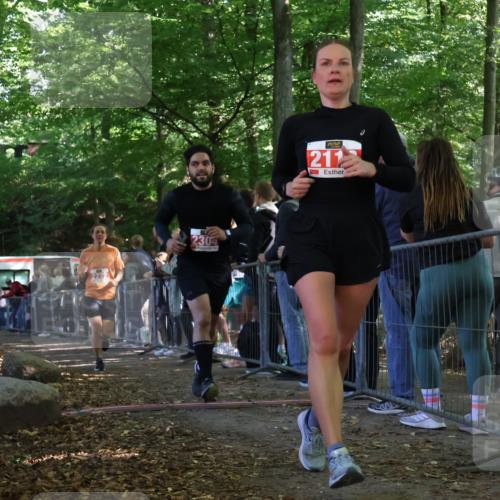 28.09.2025 - 33. Volkslauf durch das schöne Alstertal Strokosch-Dieckow http://msf.ph/oto/8973986 28.09.2025 12:28:16 Ziel 2113, 2222, 2304, 2469 meine-sportfotos.de