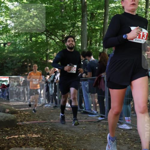 28.09.2025 - 33. Volkslauf durch das schöne Alstertal Strokosch-Dieckow http://msf.ph/oto/8973987 28.09.2025 12:28:17 Ziel 2222, 2304, 2469 meine-sportfotos.de