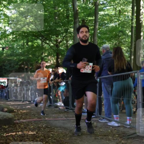 28.09.2025 - 33. Volkslauf durch das schöne Alstertal Strokosch-Dieckow http://msf.ph/oto/8973989 28.09.2025 12:28:17 Ziel 2222, 2304, 2469 meine-sportfotos.de