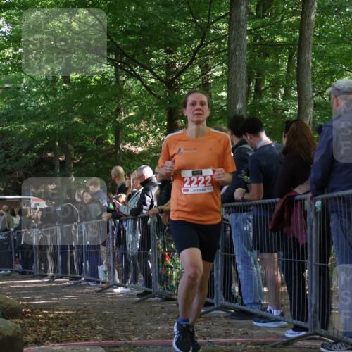 28.09.2025 - 33. Volkslauf durch das schöne Alstertal Strokosch-Dieckow http://msf.ph/oto/8973990 28.09.2025 12:28:18 Ziel 2222, 2469 meine-sportfotos.de