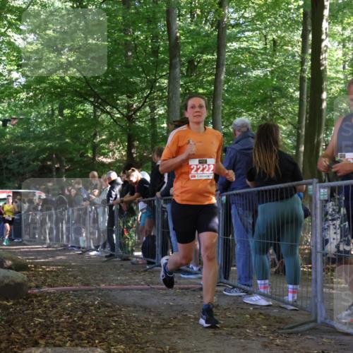 28.09.2025 - 33. Volkslauf durch das schöne Alstertal Strokosch-Dieckow http://msf.ph/oto/8973991 28.09.2025 12:28:19 Ziel 2128, 2222, 2469 meine-sportfotos.de